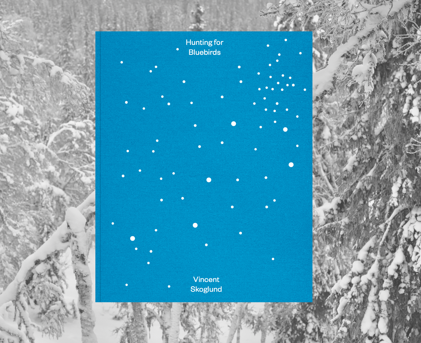 Hunting for Bluebirds - Photo Book